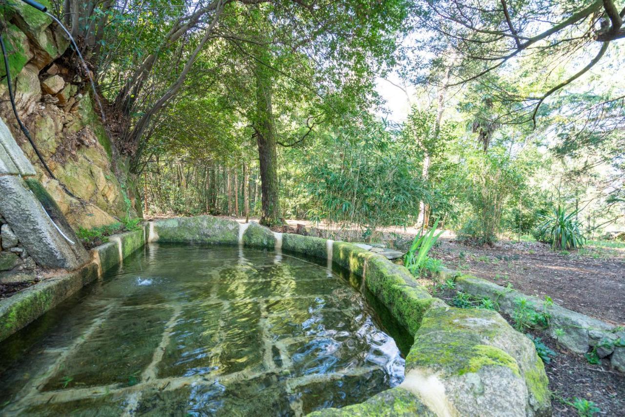 Quinta Das Lamas - Oak Tree House Vouzela Exteriér fotografie